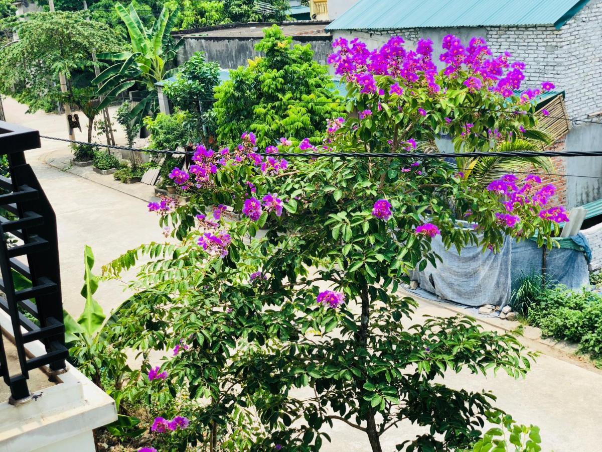 Ninh Binh Brother'S Homestay 外观 照片