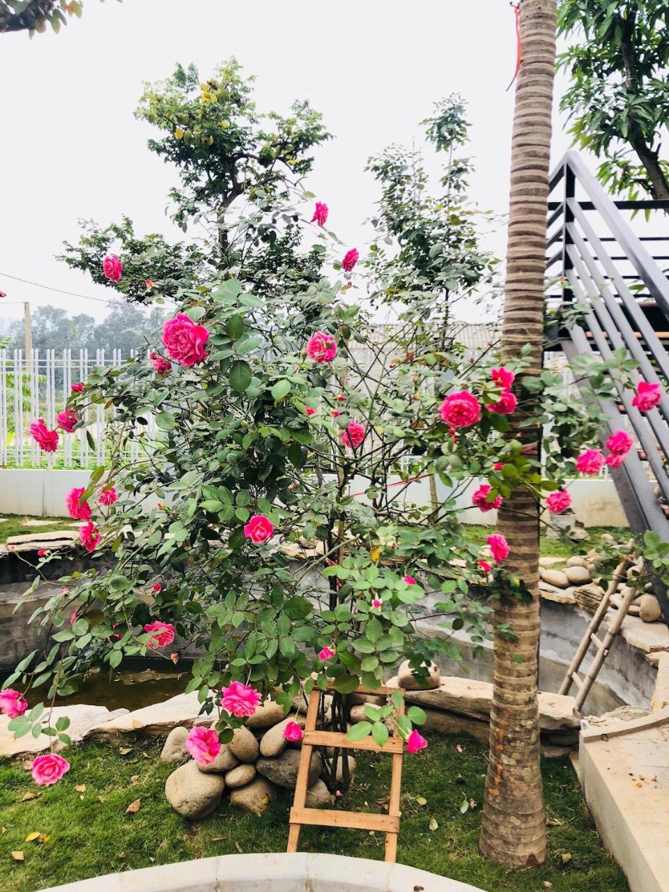 Ninh Binh Brother'S Homestay 外观 照片