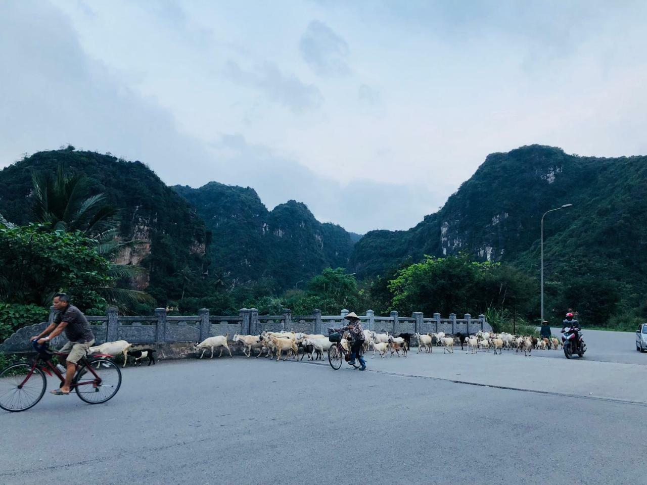 Ninh Binh Brother'S Homestay 外观 照片